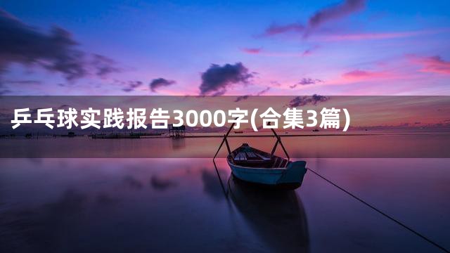 乒乓球实践报告3000字(合集3篇)