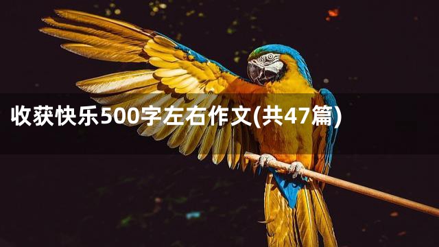 收获快乐500字左右作文(共47篇)