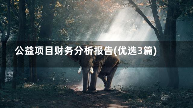 公益项目财务分析报告(优选3篇)