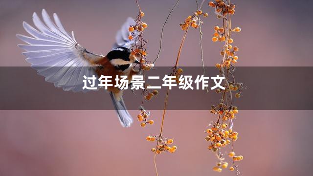 过年场景二年级作文