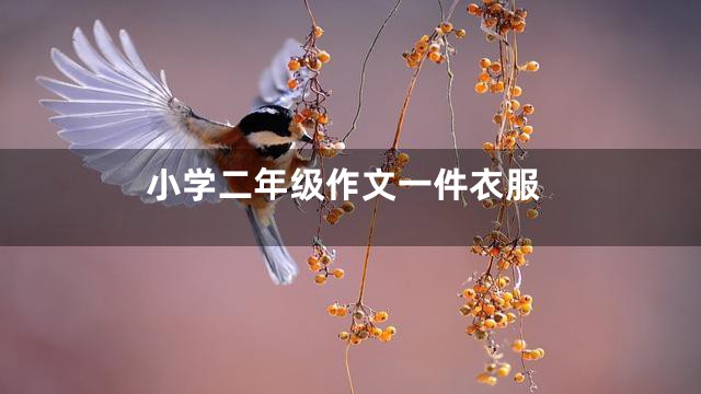 小学二年级作文一件衣服