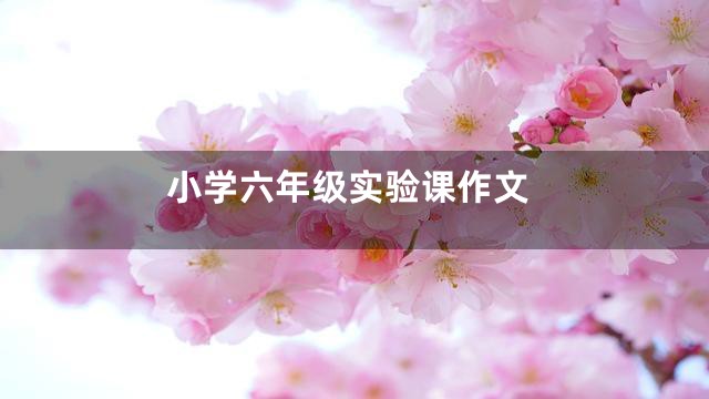 小学六年级实验课作文