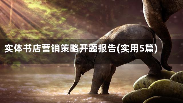 实体书店营销策略开题报告(实用5篇)