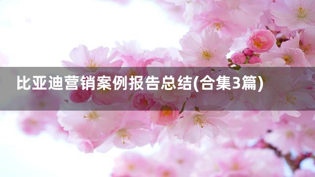 比亚迪营销案例报告总结(合集3篇)