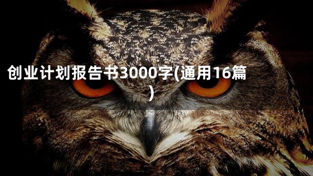 创业计划报告书3000字(通用16篇)