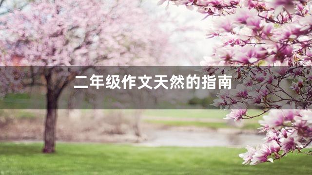 二年级作文天然的指南