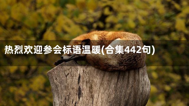 热烈欢迎参会标语温暖(合集442句)