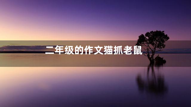 二年级的作文猫抓老鼠