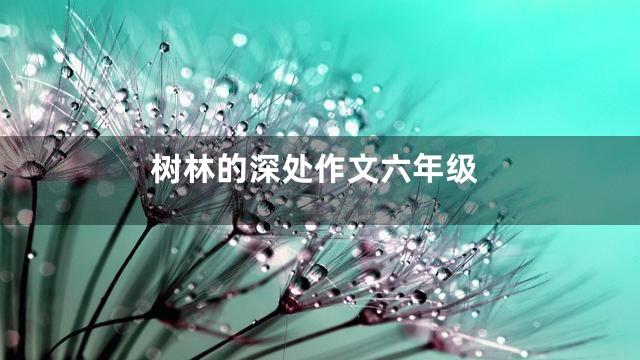 树林的深处作文六年级