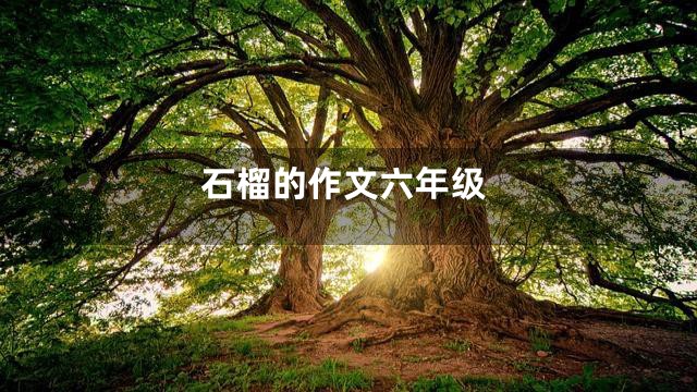 石榴的作文六年级