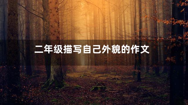 二年级描写自己外貌的作文