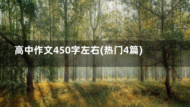 高中作文450字左右(热门4篇)