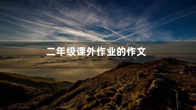 二年级课外作业的作文