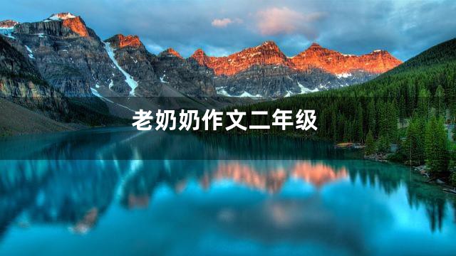 老奶奶作文二年级