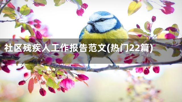 社区残疾人工作报告范文(热门22篇)