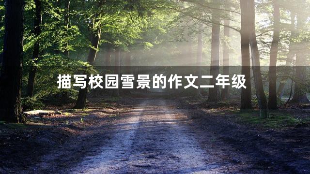 描写校园雪景的作文二年级