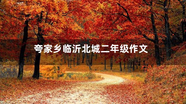 夸家乡临沂北城二年级作文