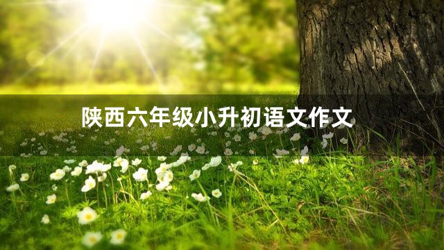 陕西六年级小升初语文作文