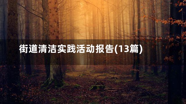 街道清洁实践活动报告(13篇)