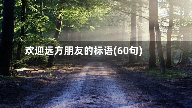 欢迎远方朋友的标语(60句)