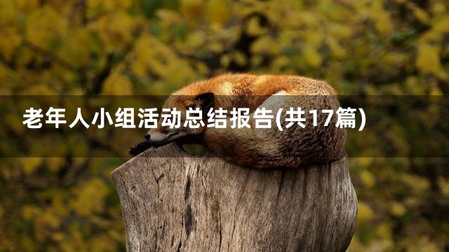 老年人小组活动总结报告(共17篇)