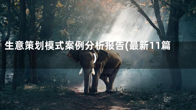 生意策划模式案例分析报告(最新11篇)