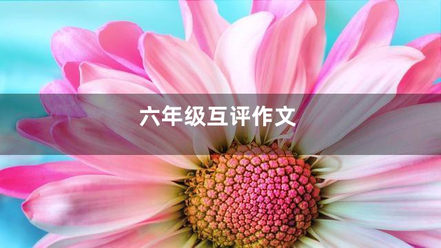 六年级互评作文