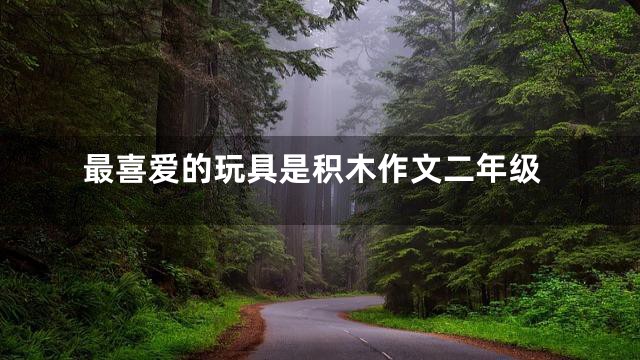 最喜爱的玩具是积木作文二年级