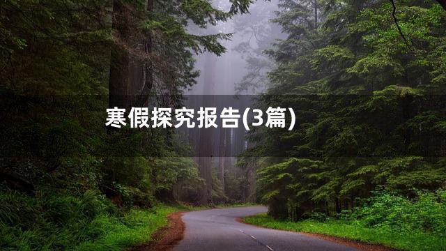 寒假探究报告(3篇)