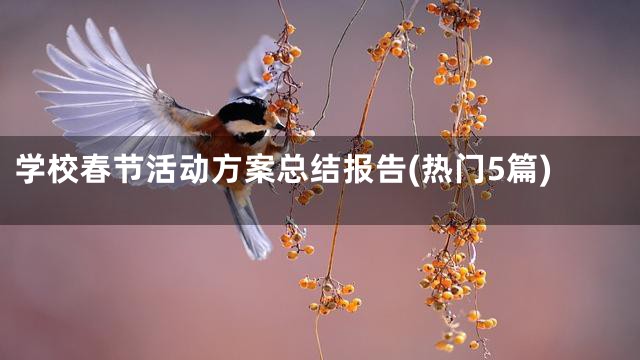 学校春节活动方案总结报告(热门5篇)