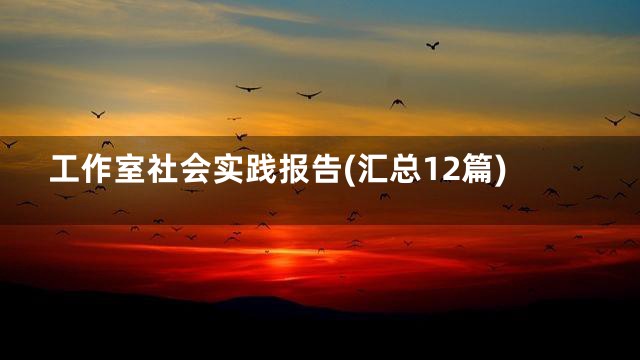 工作室社会实践报告(汇总12篇)