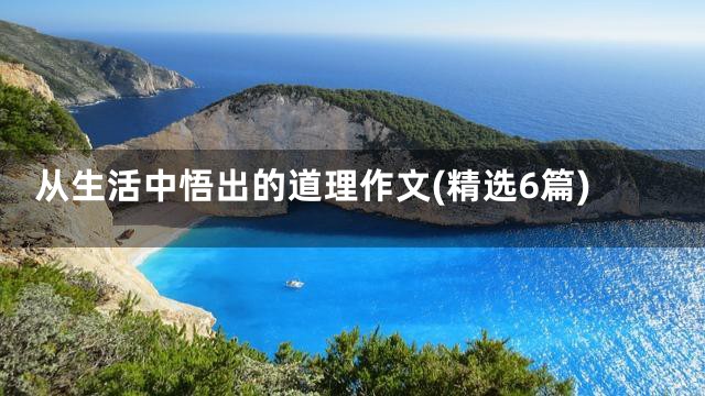 从生活中悟出的道理作文(精选6篇)