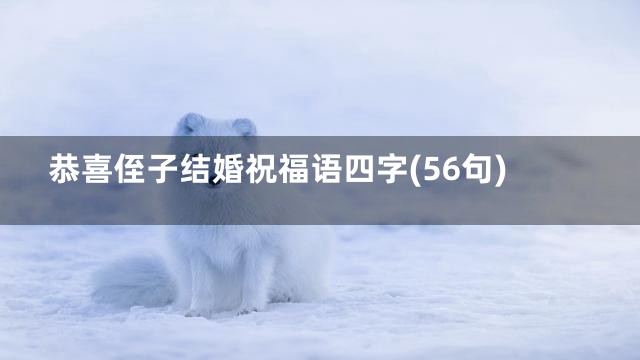 恭喜侄子结婚祝福语四字(56句)
