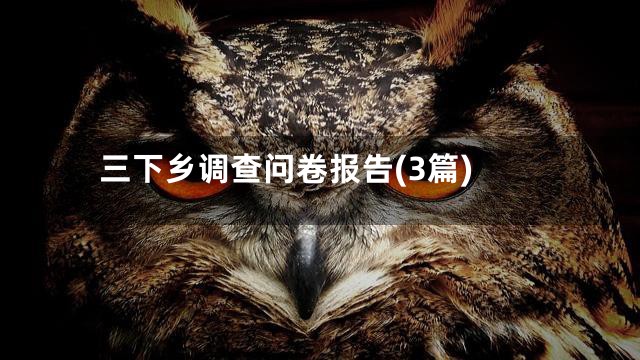 三下乡调查问卷报告(3篇)