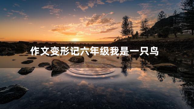 作文变形记六年级我是一只鸟