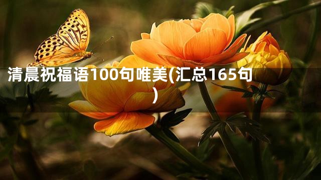 清晨祝福语100句唯美(汇总165句)