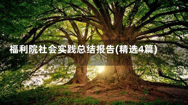 福利院社会实践总结报告(精选4篇)