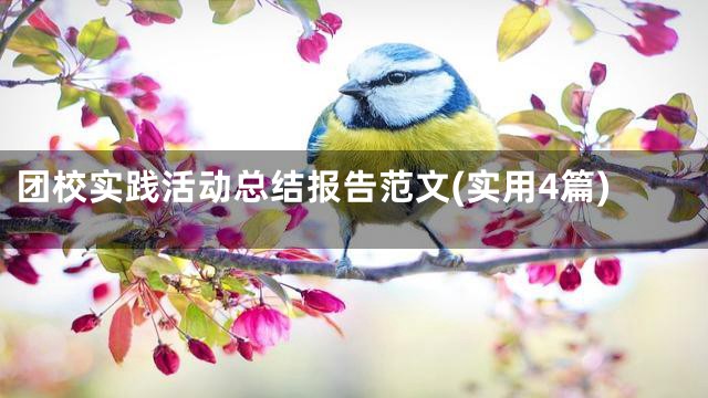 团校实践活动总结报告范文(实用4篇)