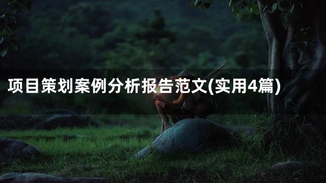 项目策划案例分析报告范文(实用4篇)