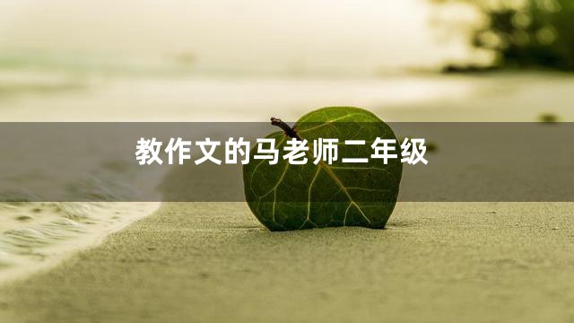 教作文的马老师二年级