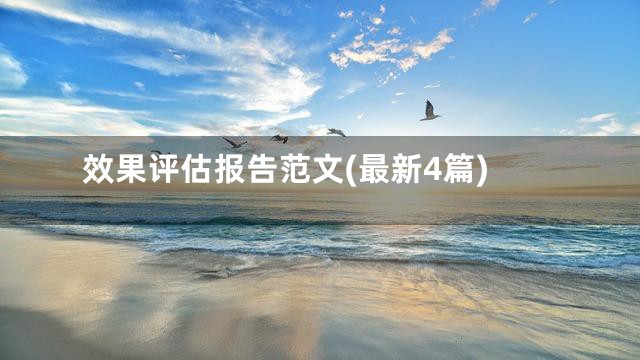 效果评估报告范文(最新4篇)