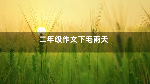 二年级作文下毛雨天