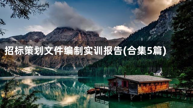 招标策划文件编制实训报告(合集5篇)