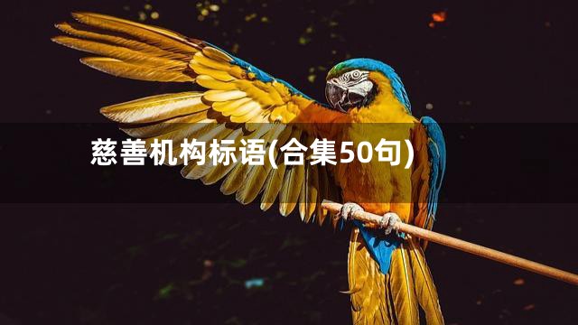 慈善机构标语(合集50句)