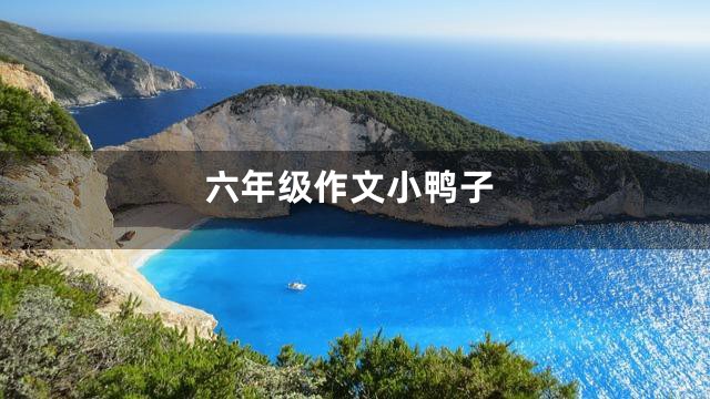 六年级作文小鸭子