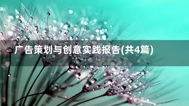 广告策划与创意实践报告(共4篇)