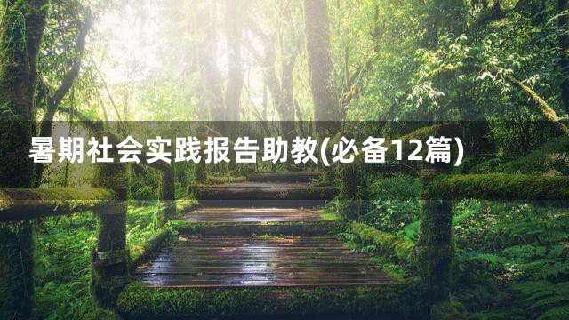 暑期社会实践报告助教(必备12篇)