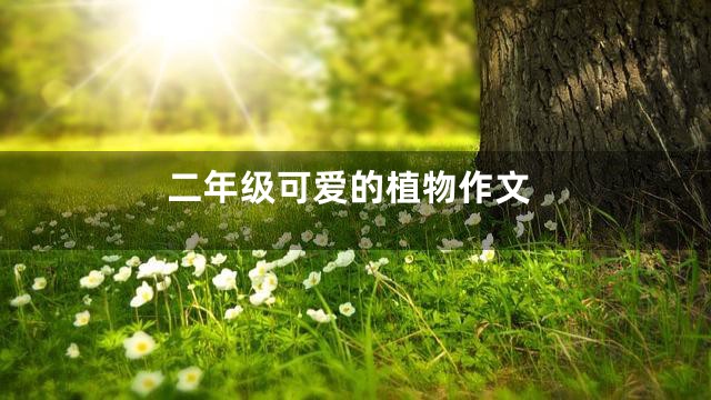 二年级可爱的植物作文