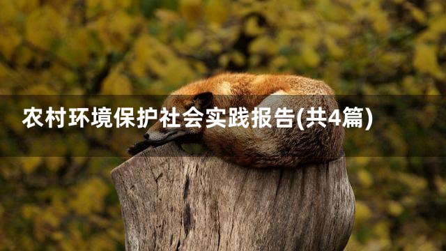农村环境保护社会实践报告(共4篇)