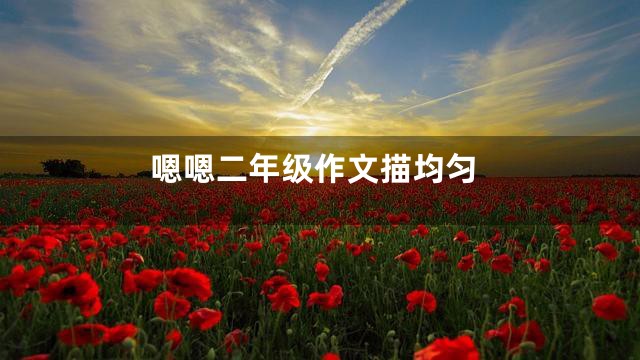 嗯嗯二年级作文描均匀